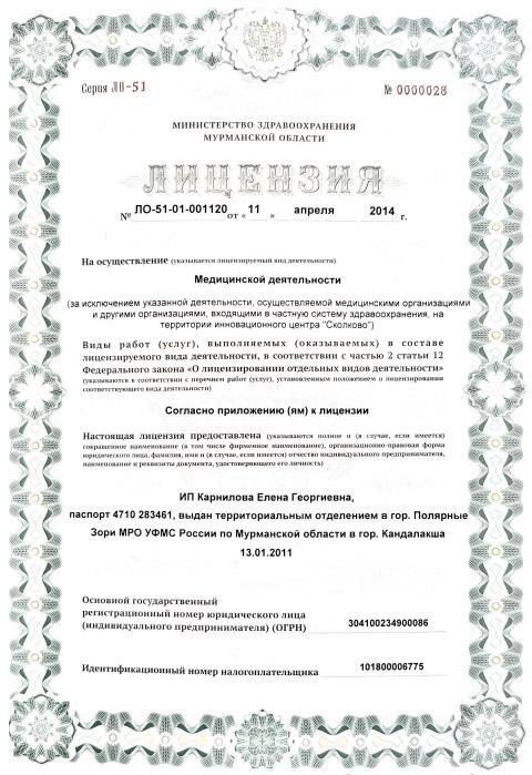 Лицензия, лист 1 